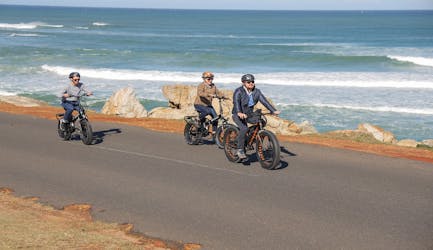 Cape Town: e-bike Cape Peninsula tour